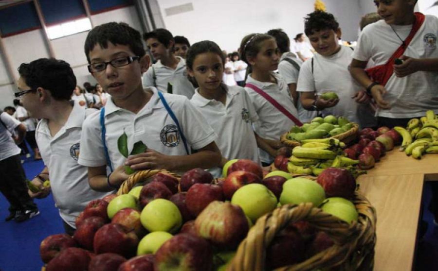 ЕС выделит 4,8 млн евро субсидии на школьное питание