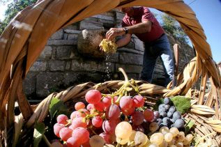 Кипрские вина прогрессируют