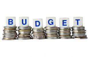 Власти представили дополнительный бюджет